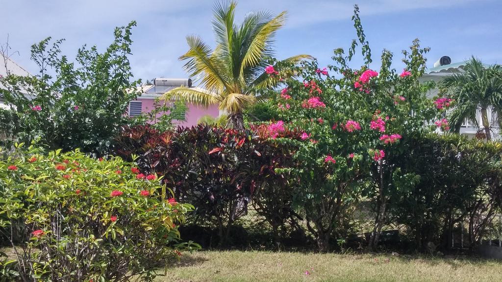 Résidence Le Belvedere De Gissac Appartement Sainte-Anne (Grande-Terre)